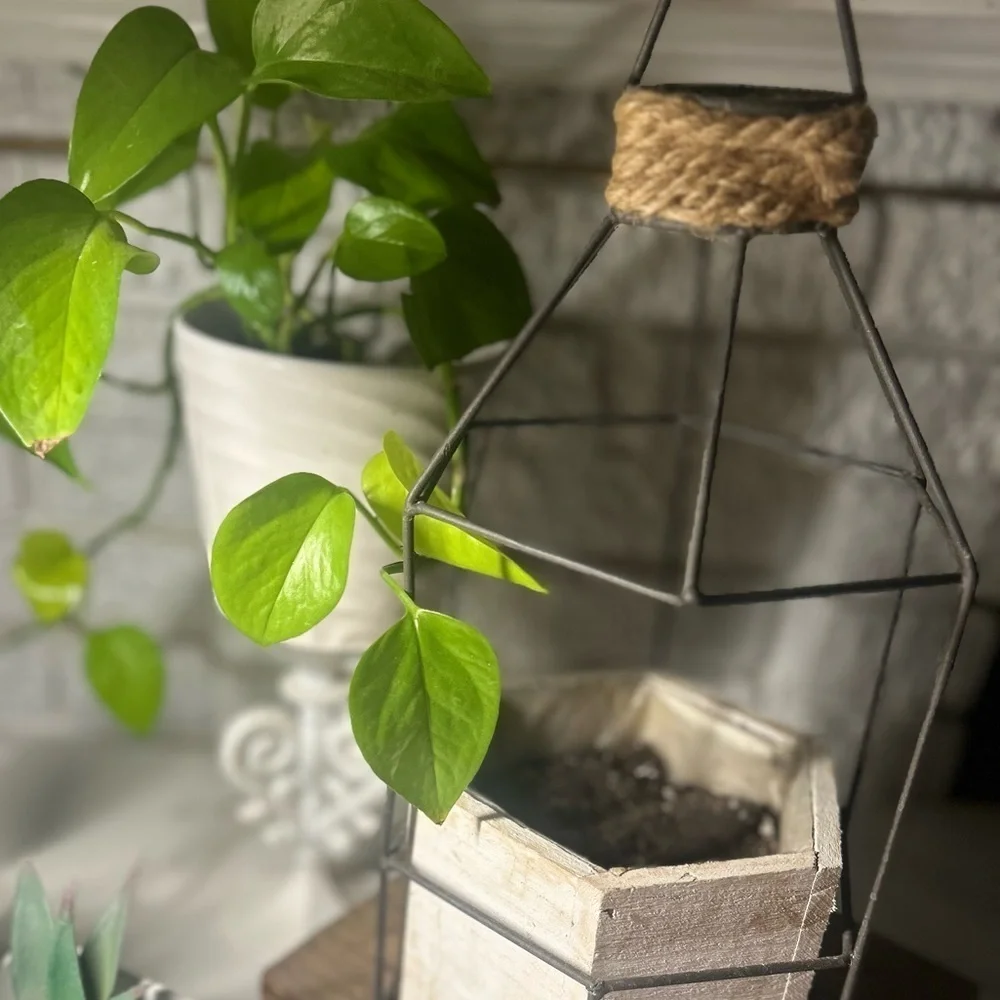 Rustic Wood Pot Hanging Plant Planter Indoor or Outdoor Medal Design Decor